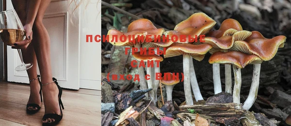 сатива Михайлов