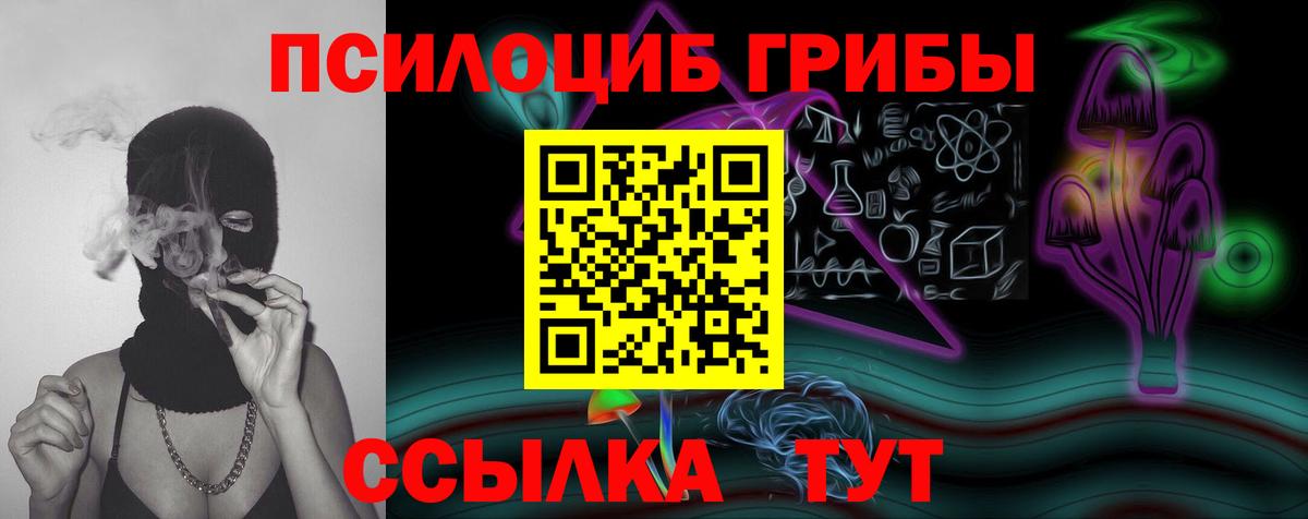 Псилоцибиновые грибы GOLDEN TEACHER Михайловск