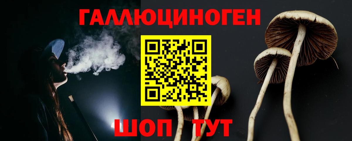 Галлюциногенные грибы Cubensis  купить наркотики цена  Михайловск  Вход с VPN 